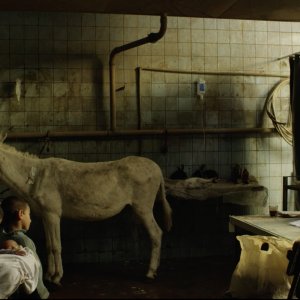 Il capofamiglia: una scena corale del film