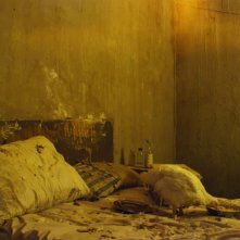 Il capofamiglia: il pollo sul letto