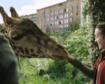 The Last of Us: nella scena dell'ospedale sono state utilizzate delle vere giraffe