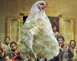 Il capofamiglia, la recensione: l'assurda storia del marito e padre (padrone) che diventò un pollo
