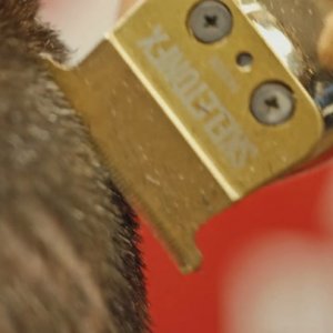 Quelle Brave Ragazze - Clip Alessandro Interista