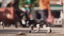 Quelle Brave Ragazze - Ep05 - Clip Marisa Serpente