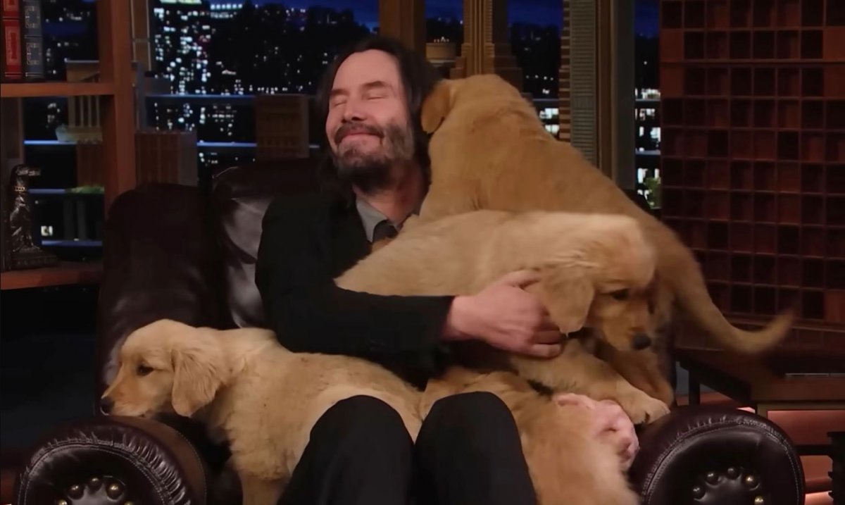 Keanu Reeves vince sei cagnolini nello show di Jimmy Fallon: "Sono il re dei cuccioli!"