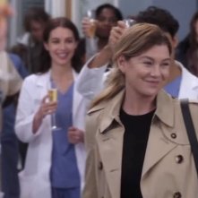 Grey's Anatomy 19: una scena del settimo episodio