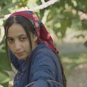 Il frutto della tarda estate: una scena del film