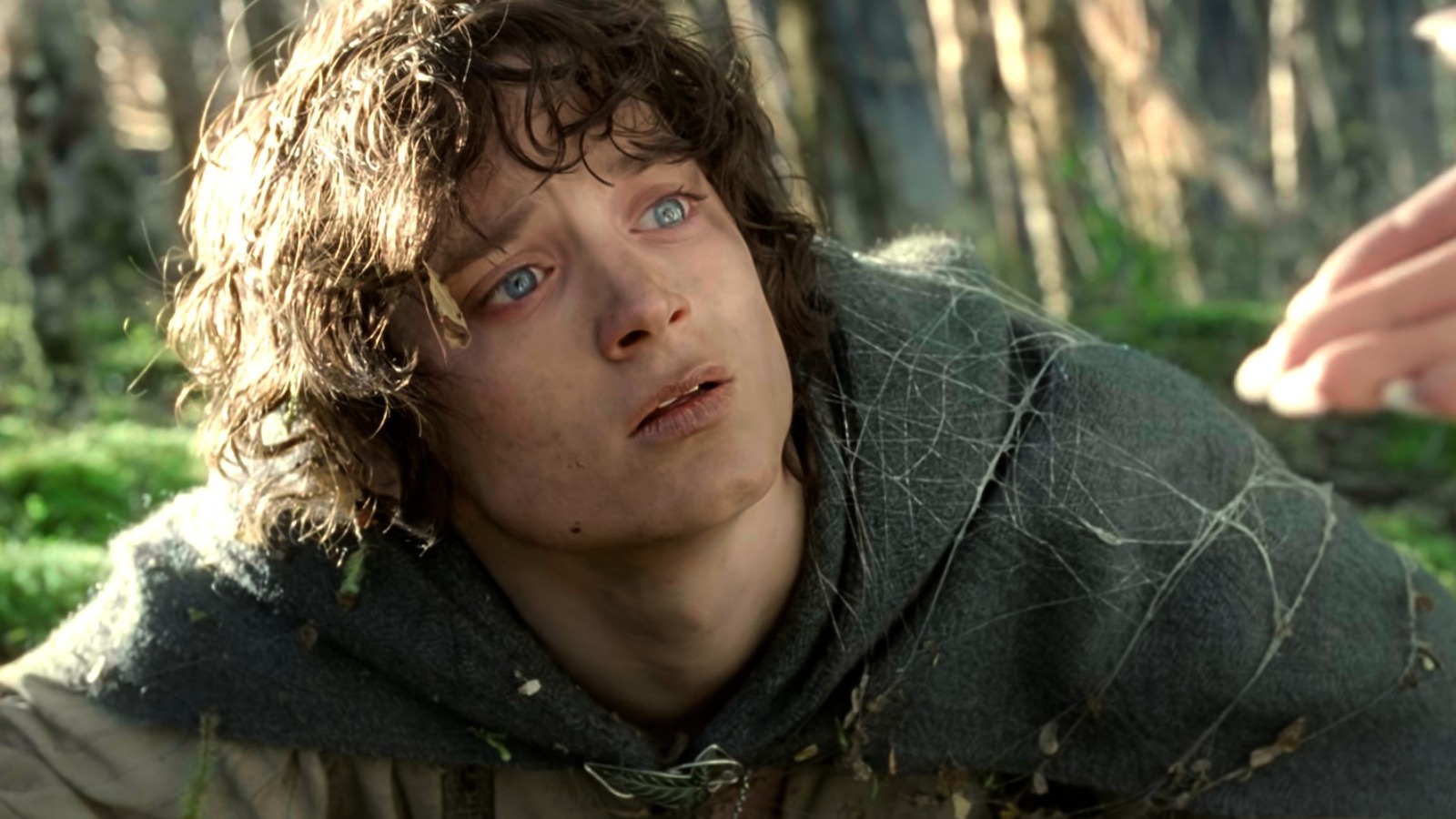 Il Signore degli anelli, Elijah Wood tornerà ad interpretare Frodo? Ecco la risposta dell'attore