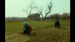 Terra E Polvere - Clip Germoglio