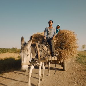 Terra e polvere: una scena del film