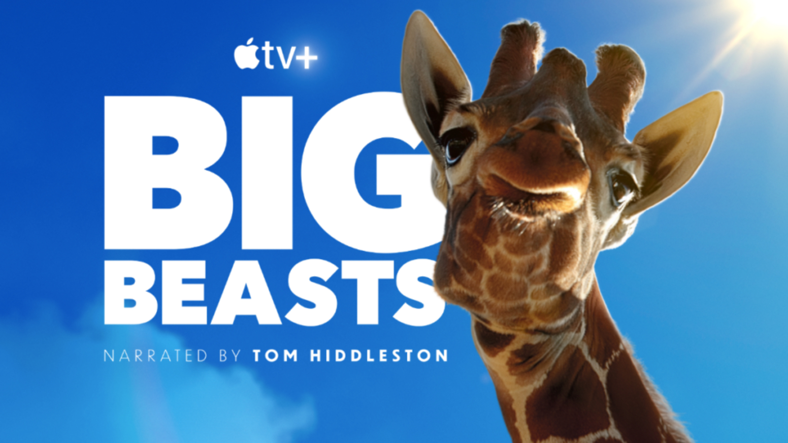Big Beasts - Maestose Creature: il trailer della docuserie sul mondo della natura narrata da Tom Hiddleston