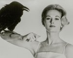 Gli Uccelli, Tippi Hedren traumatizzata per sempre da una scena del film di Hitchcock: ecco quale