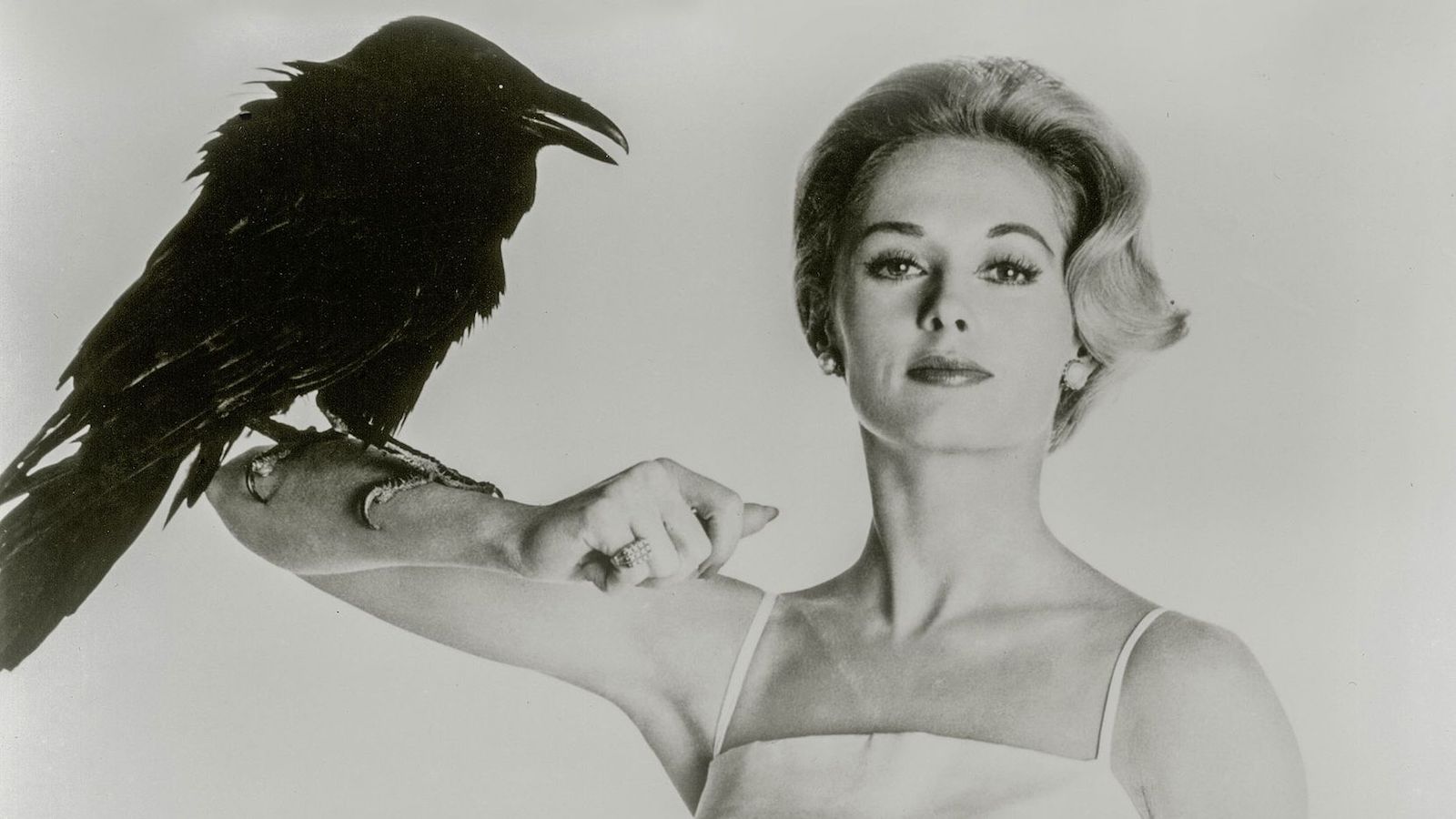 Gli Uccelli, Tippi Hedren traumatizzata per sempre da una scena del film di Hitchcock: ecco quale