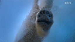 Big Beasts - Trailer Sottitolato