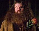 Harry Potter, Tom Felton ricorda Robbie Coltrane: 'Senza Hagrid, Hogwarts non esisterebbe'