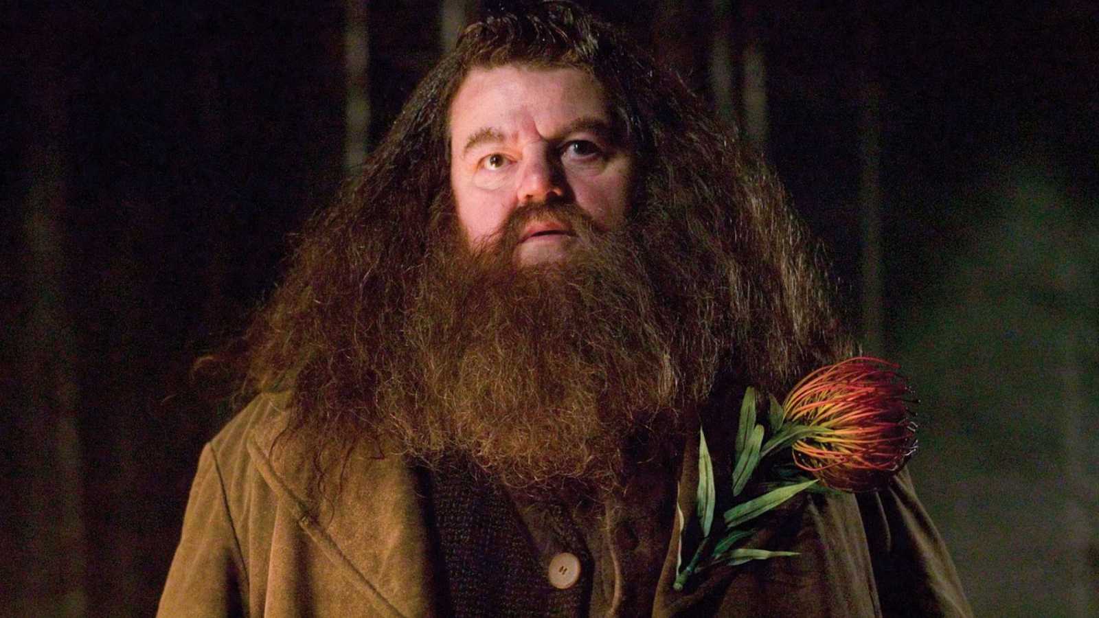 Harry Potter, Tom Felton ricorda Robbie Coltrane: 'Senza Hagrid, Hogwarts non esisterebbe'