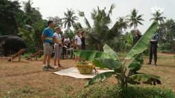 Pechino Express - La Via Delle Indie - Enzo Prova Il Gioco Con Gli Elefanti