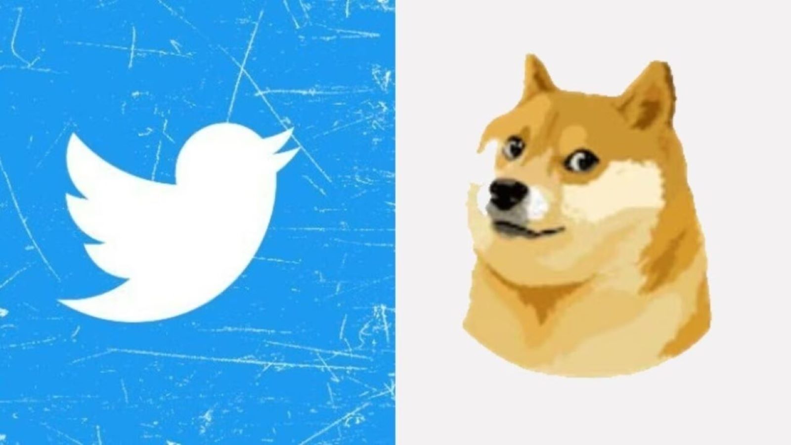 Elon Musk: qual è il significato del meme del cane che compare su Twitter?