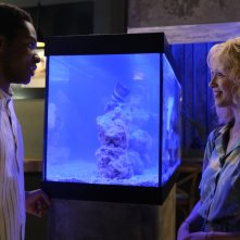 Shake: una foto di scena