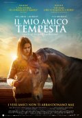 Locandina di Il mio amico Tempesta