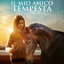 Locandina di Il mio amico Tempesta