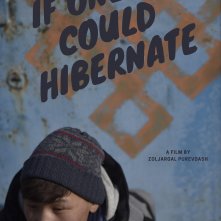 Locandina di If Only I Could Hibernate