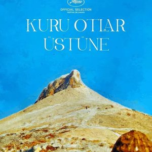 Locandina di About Dry Grasses