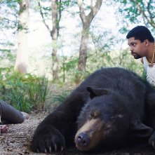 Cocainorso: una scena del film