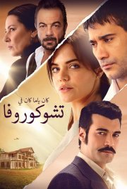 Locandina di Terra amara