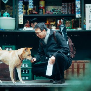 Hachiko: un'immagine del film