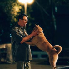 Hachiko: una scena del film