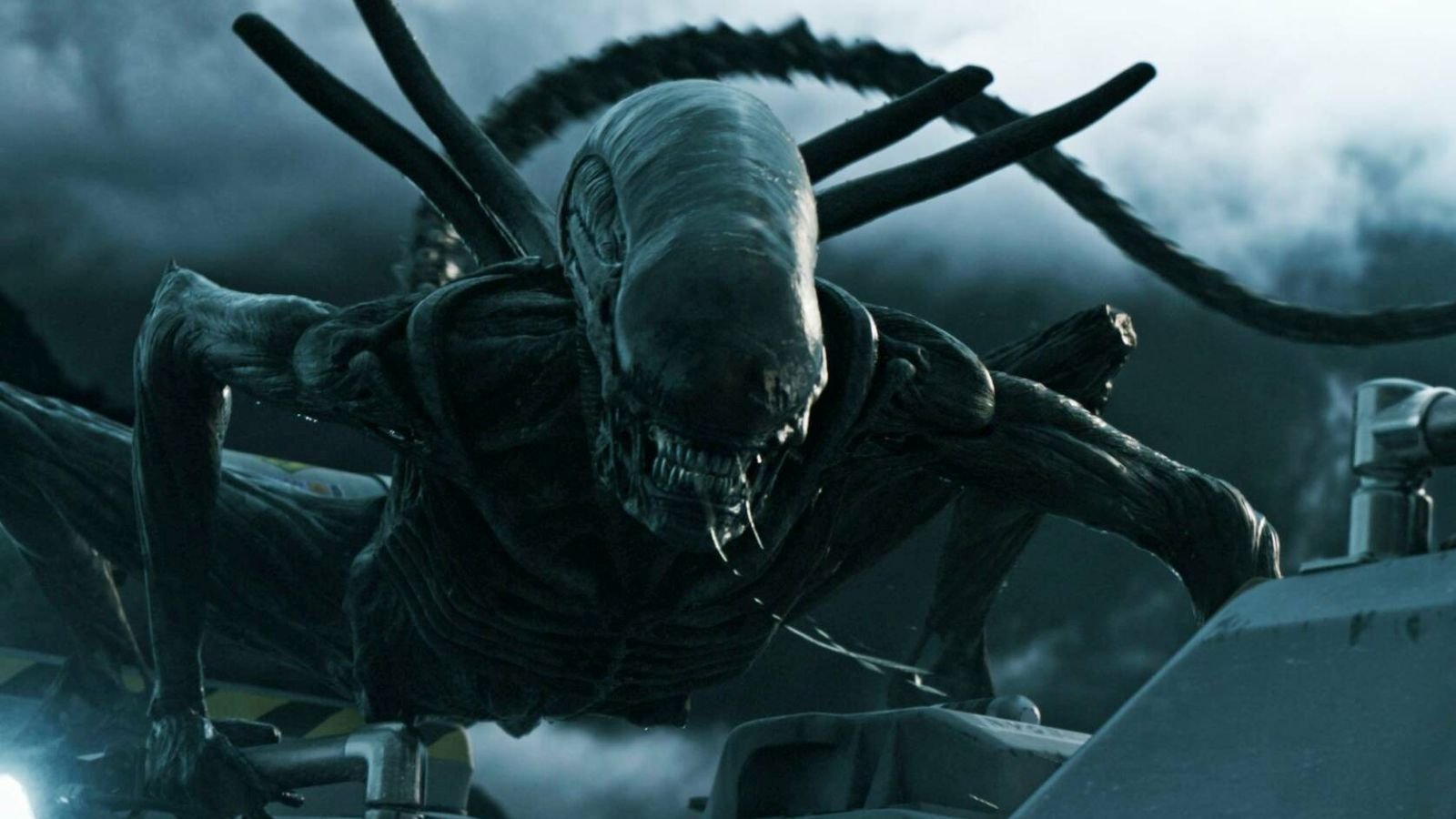 Alien di Ridley Scott e Aliens - Scontro finale di James Cameron al cinema con Lucky Red per le ALIEN NIGHTS