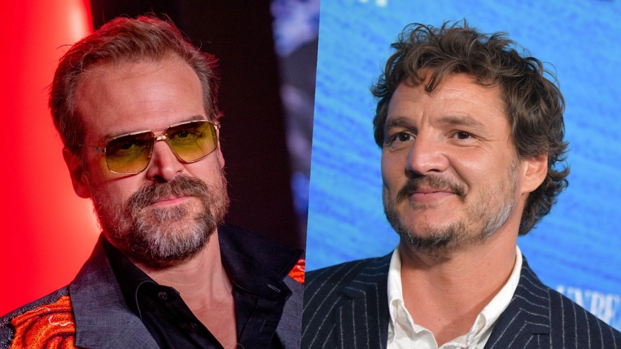 David Harbour stuzzica le fan: 'Io e Pedro Pascal siamo membri del daddy-verse'