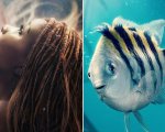 La sirenetta, i fan bocciano il look di Flounder: 'Sembra Steve Buscemi'