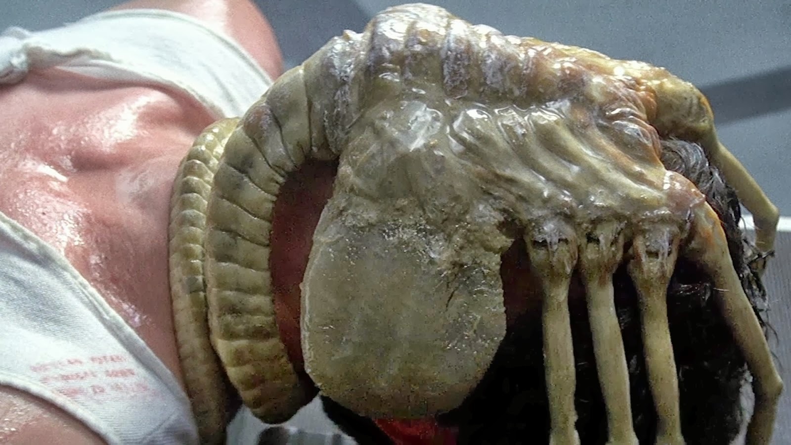 Alien: Fede Alvarez celebrates Alien Day by anticipating the return of the Facehuggers in his reboot