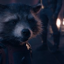 Guardiani della Galassia Vol. 3: un primo piano di Rocket