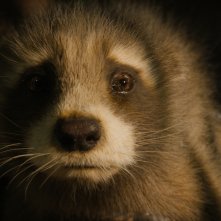 Guardiani della Galassia Vol. 3: un frame del film
