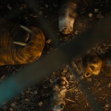 Guardiani della Galassia Vol. 3: un'immagine del film