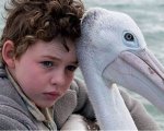 Storm Boy - Il ragazzo che sapeva volare, trama e cast del film di stasera su Canale 5