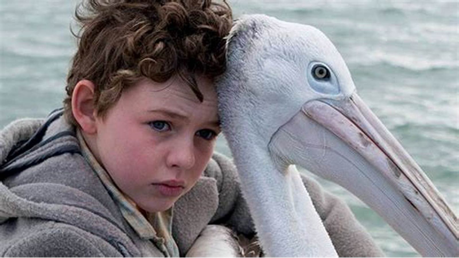 Storm Boy - Il ragazzo che sapeva volare, trama e cast del film di stasera su Canale 5