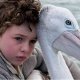 Storm Boy - Il ragazzo che sapeva volare, trama e cast del film di stasera su Canale 5