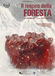 Locandina di Il respiro della foresta