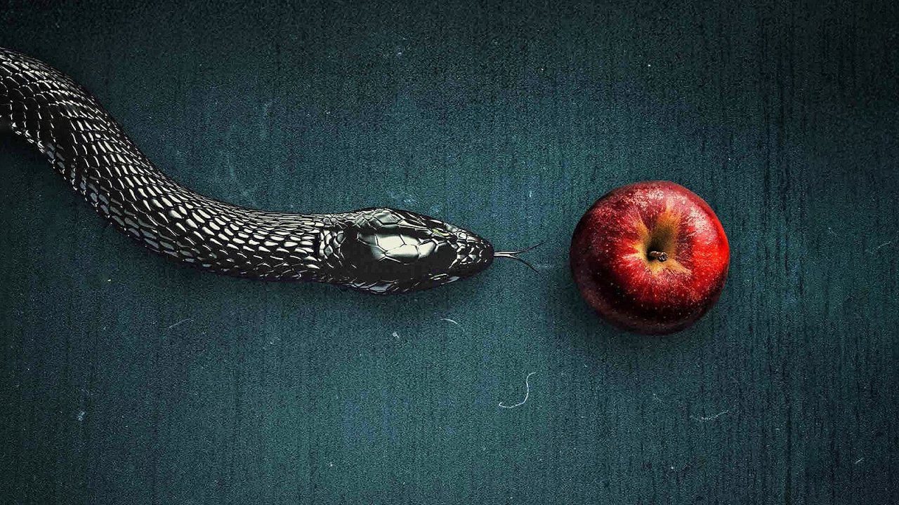 Evil, la recensione: quando la possessione incontra la scienza