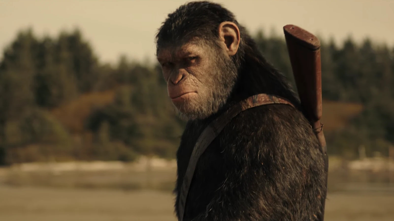 Il pianeta delle scimmie: una nuova serie tv in fase di sviluppo per Disney+