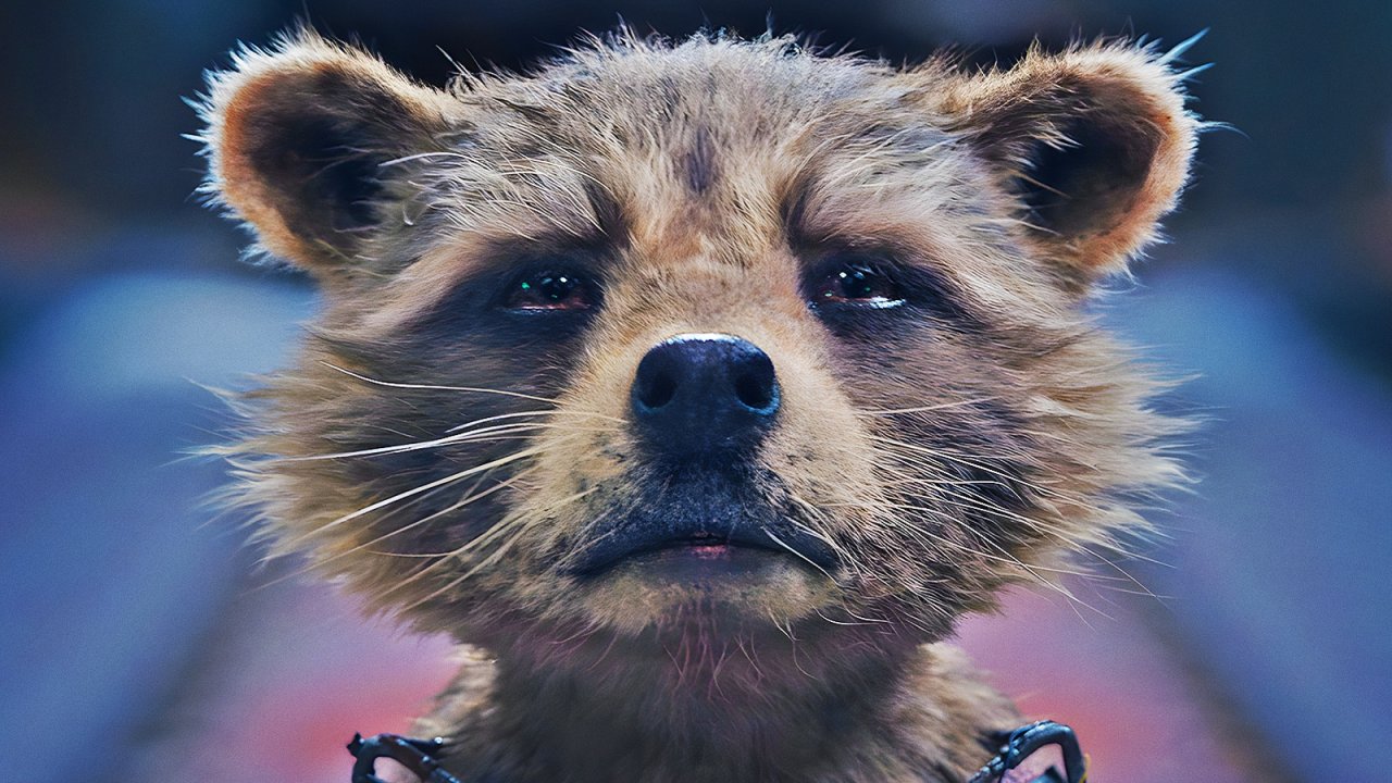 Guardiani della Galassia, il viaggio della consapevolezza di Rocket