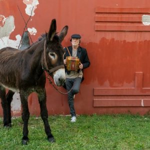 La divina cometa: Francesco De Gregori in una scena del film