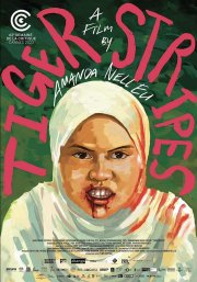 Locandina di Tiger Stripes