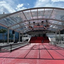 Cannes 2023: uno scatto del tappeto rosso
