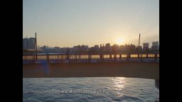 Perfect Days - Trailer