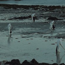 Grace: un'inquadratura del film