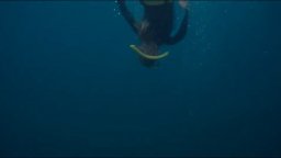 Blueback - Trailer Italiano