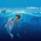 Blu e Flippy - Amici per le pinne: l'anteprima nazionale all’Acquario di Genova